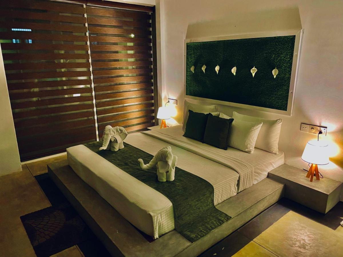 8 Plus Motels Negombo Eksteriør billede