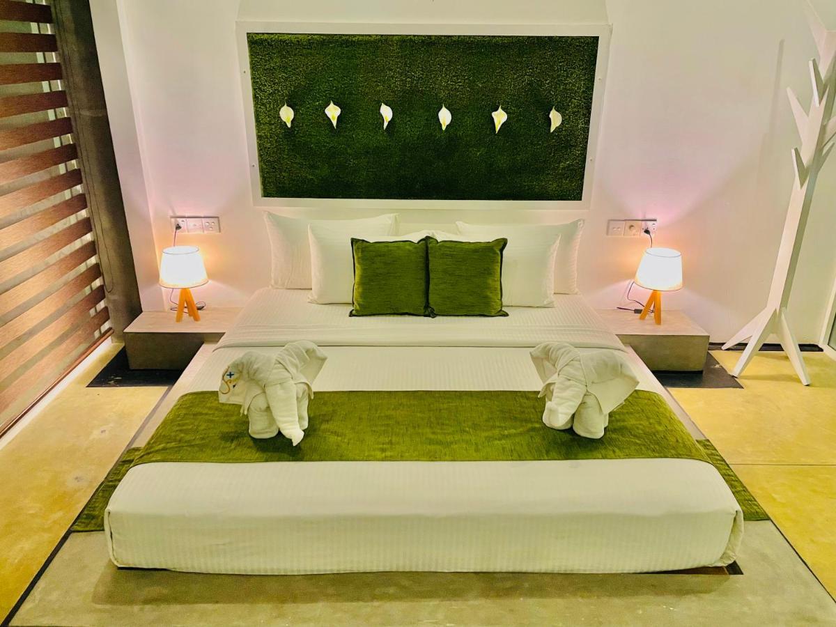 8 Plus Motels Negombo Eksteriør billede