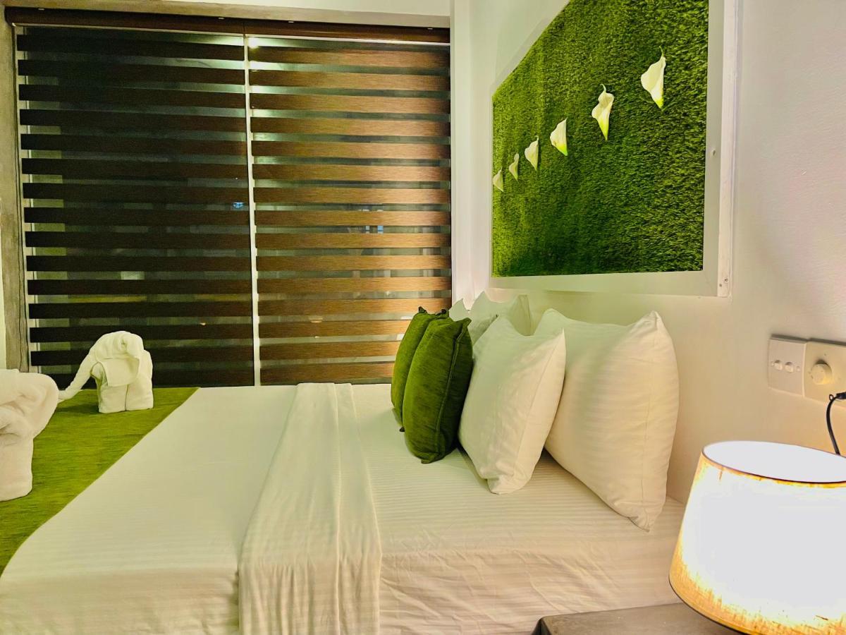8 Plus Motels Negombo Eksteriør billede